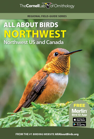 All About Birds Northwest: Northwest US and Canada All About Birds Northwest: Northwest US and Canada