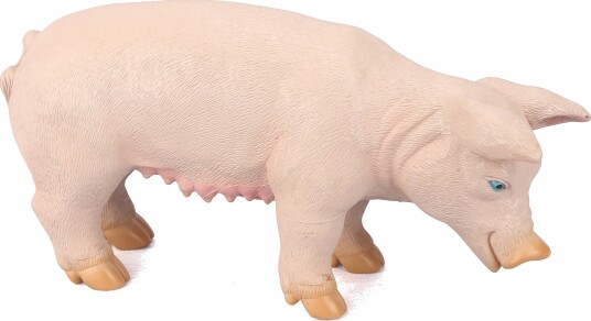 Animal Universe Gris Kosedyr 3+ År