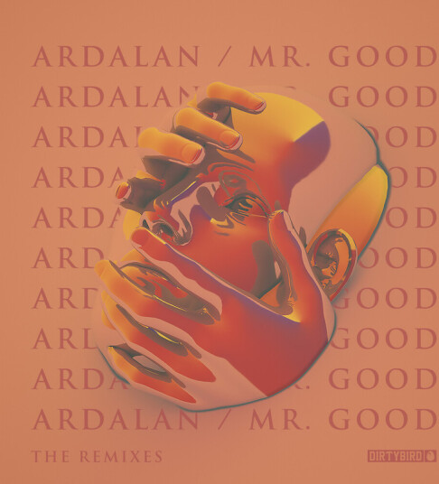 Mr. Good  The Remixes