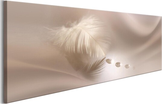 Bilde Delicate Feather 150x50 Artgeist sp. z o. o.