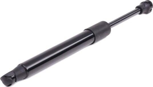 RIDEX 219G0036 Baklukedemper
