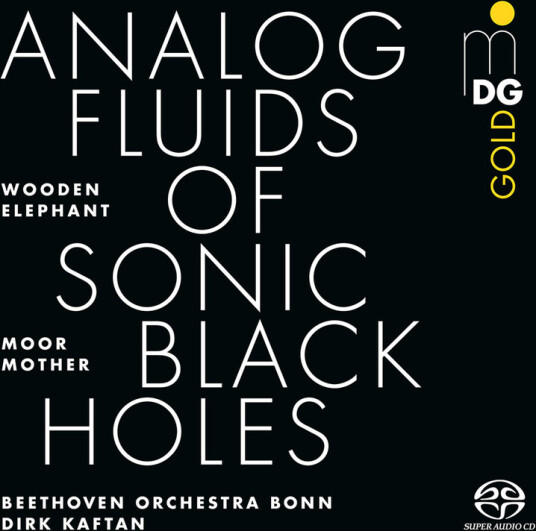 Moor Mother Analog Fluids Of Sonic Black Holes CD