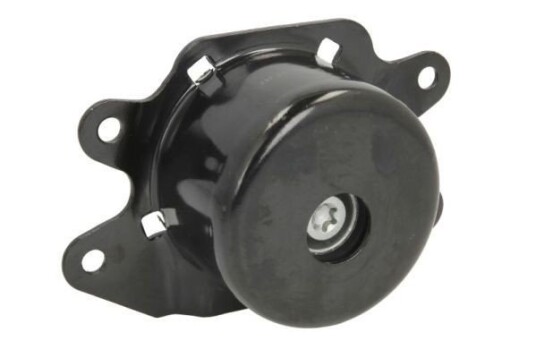 Motorfeste REINHOCH RH11-5035