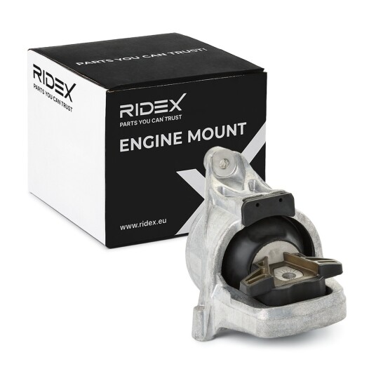 Motorfeste RIDEX 247E0670
