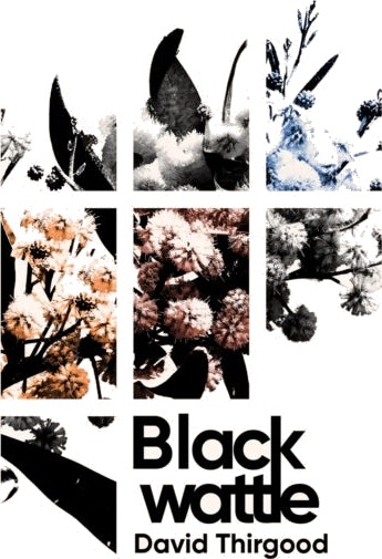 Blackwattle Blackwattle