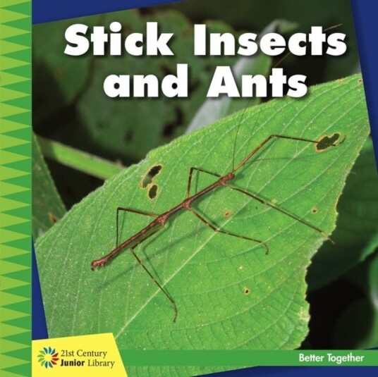Stick Insects and Ants Stick Insects and Ants