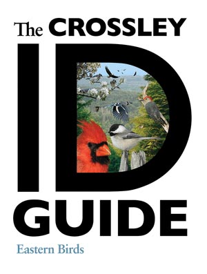 The Crossley ID Guide: The Crossley ID Guide: