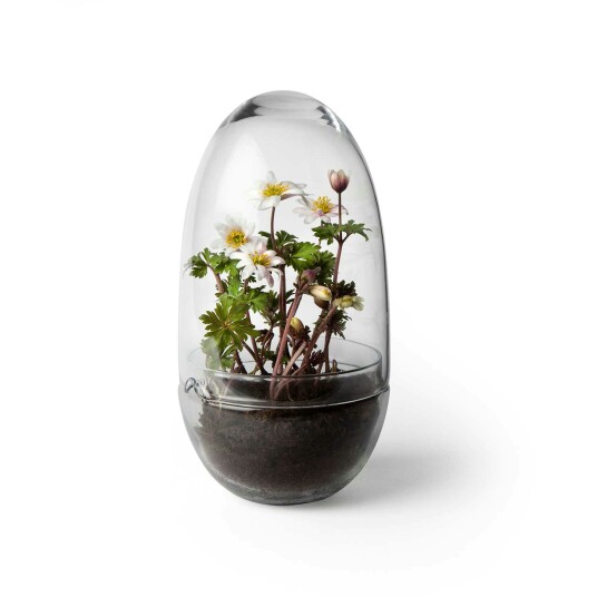 Design House Grow vekstkuppel Medium Ø11 cm