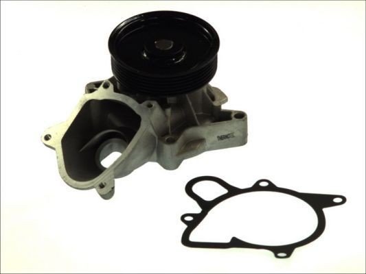 THERMOTEC D1B031TT Vannpumpe THERMOTEC D1B031TT Vannpumpe