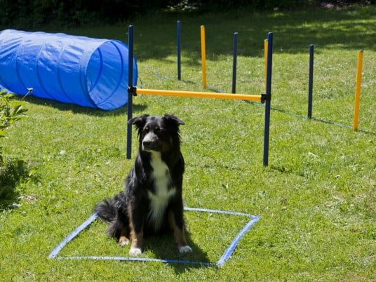 Agility Startsett Xxl