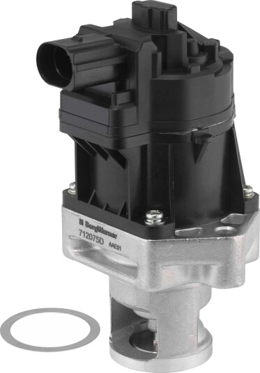 EGR-ventil BorgWarner 712075D