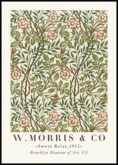W. Morris & Co Sweet Briar Plakat Plakat / 70x100cm
