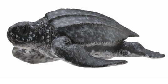 Collecta Leatherback Sea Turtle Collecta Leatherback Sea Turtle