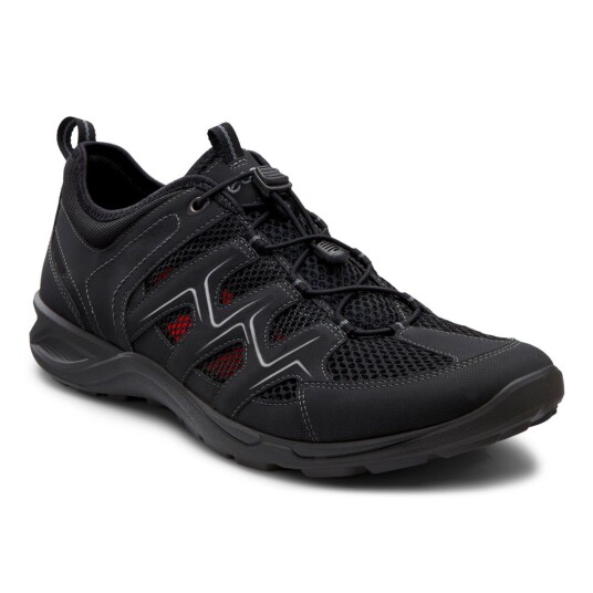 Ecco Men's Terracruise LT Black/Black UK 12/EU 47, Black/Black