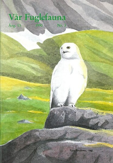 Norsk Ornitologisk Forening Vår Fuglefauna   1990 3 årgang 13