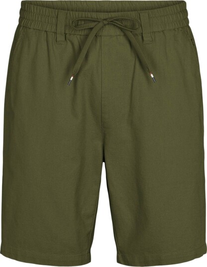 U.S. Polo Assn. Seb Shorts Herre Grønn M
