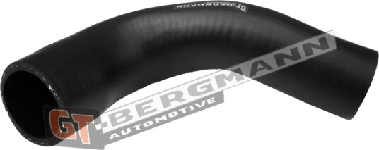 GT BERGMANN GT52 556 Ladeluftslange