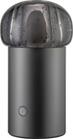 Blomus LED lampe Iris 18 cm Grå Oppladbare lamper