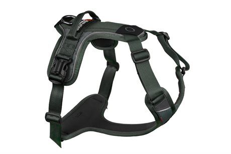 Non-Stop Dogwear Ramble Harness Green XS