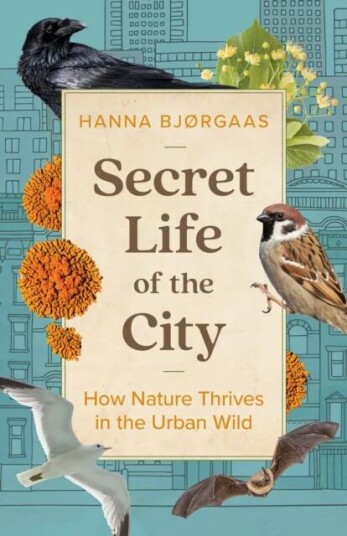 Secret Life Of The City Av Hanna Hagen Bjørgaas