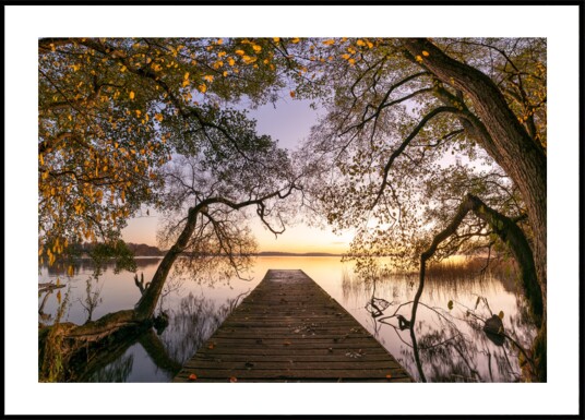 Golden Autumn Pier Plakat / 21x30