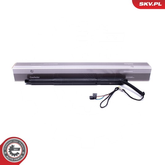 Elektromotor bakluke ESEN SKV 52SKV925