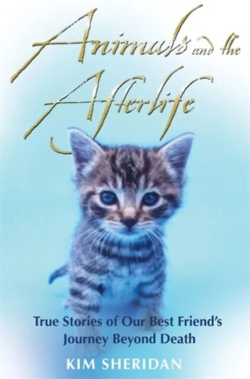 Animals And The Afterlife Av Kim Sheridan