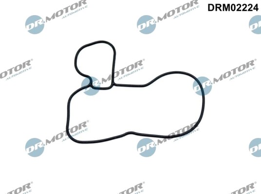 Tetning, oljepumpe DR.MOTOR AUTOMOTIVE DRM02224