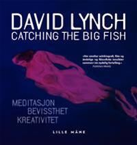 Catching The Big Fish Av David Lynch