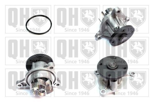 QUINTON HAZELL QCP3890 Vannpumpe QUINTON HAZELL QCP3890 Vannpumpe