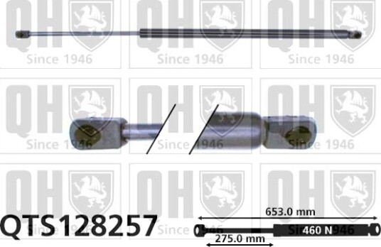 QUINTON HAZELL QTS128257 Baklukedemper