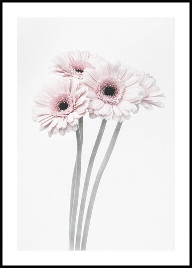 Pink Flowers Poster Plakat / 100x150cm