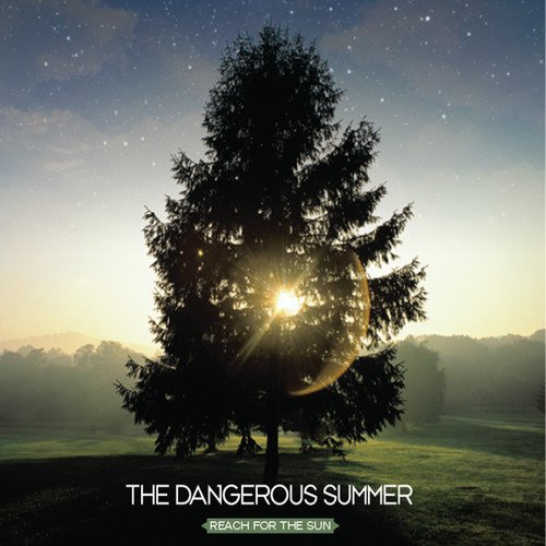 Reach For The Sun Vinyl