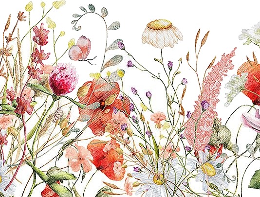 Jernia Serviett 33x33cm field of flowers
