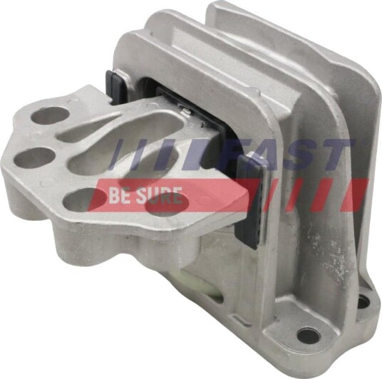 Motorfeste FAST FT52659