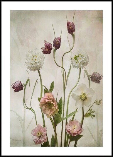 Spring Garden Plakat / 40x50cm Spring Garden Plakat / 40x50cm