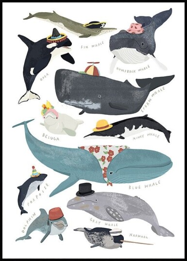 Whales In Hats Poster Plakat / 40x50cm