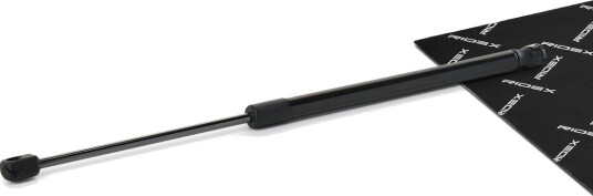RIDEX 219G1243 Baklukedemper