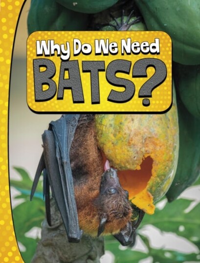 Why Do We Need Bats? Why Do We Need Bats?
