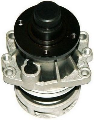 DENCKERMANN A310042P Vannpumpe