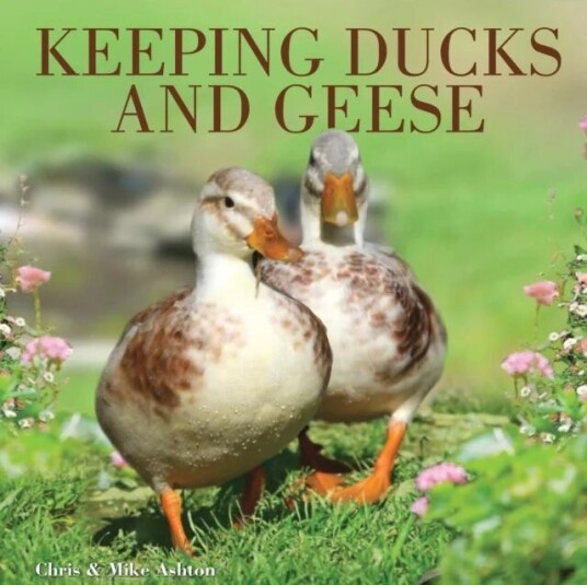 Keeping Ducks And Geese Av Chris And Mike Ashton, Mike Ashton