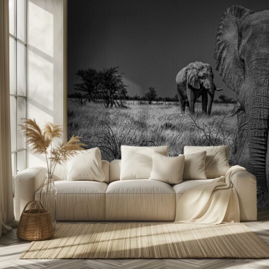 Tapet – Svart Hvit Elefant Tapet – Svart Hvit Elefant