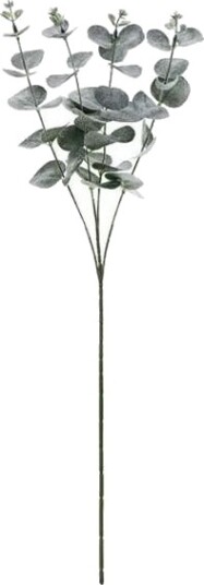 Eukalyptusgren 60 cm
