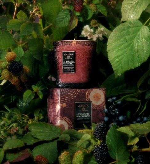 Voluspa Foraged Wildberry Duftlys Classic 60t