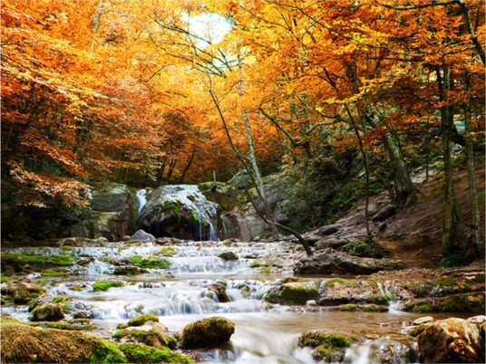 Fototapet Autumn Waterfall 200x154 - Artgeist sp. z o. o.