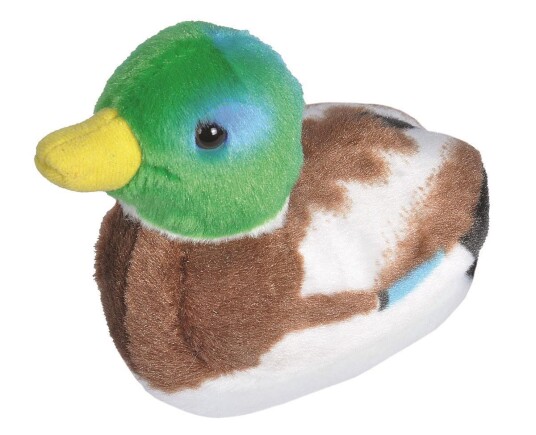 Wild Republic Birds with sound from Wild Republic Birds with sound from