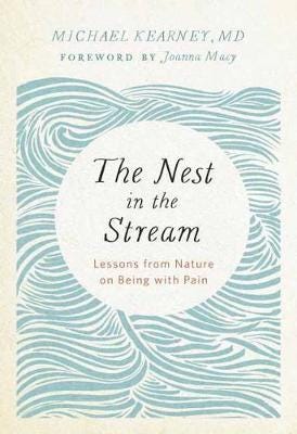 Nest In The Stream Av Michael Kearney M.D.