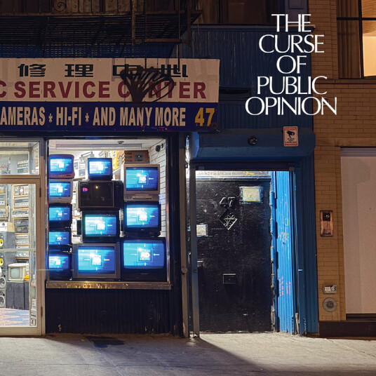 Public Opinion The Curse Of Public Opinion CD