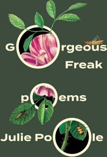 Gorgeous Freak Gorgeous Freak