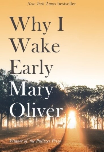 Why I Wake Early